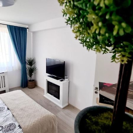 Apartament Cozy Studio Braszów Zewnętrze zdjęcie