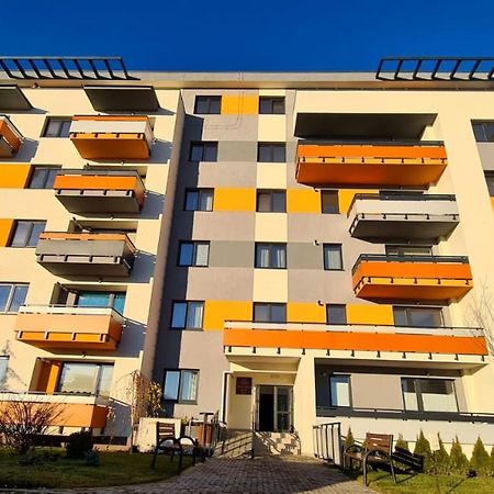 Apartament Cozy Studio Braszów Zewnętrze zdjęcie