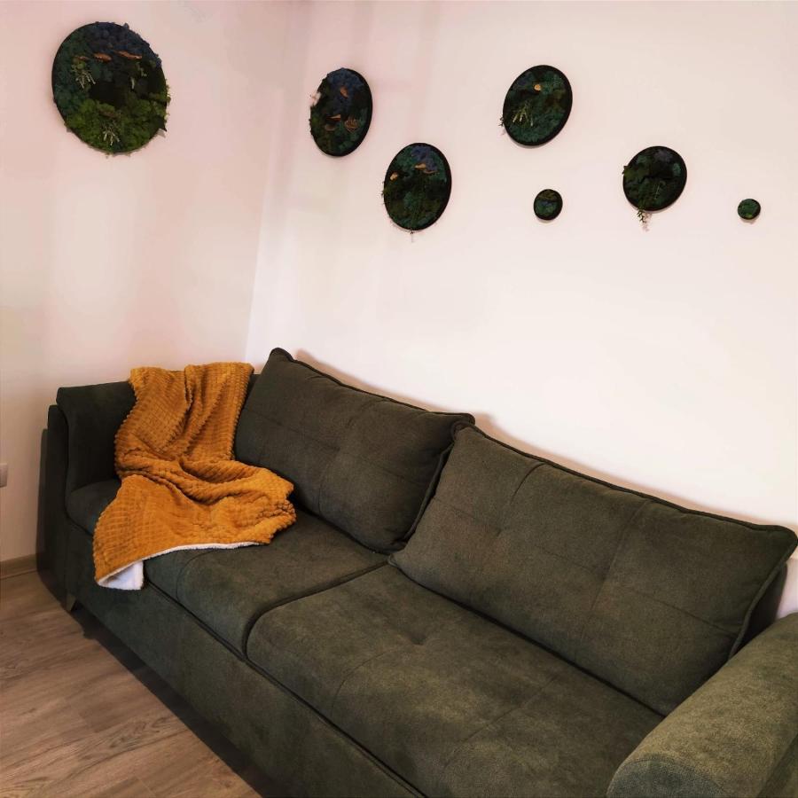 Apartament Cozy Studio Braszów Zewnętrze zdjęcie