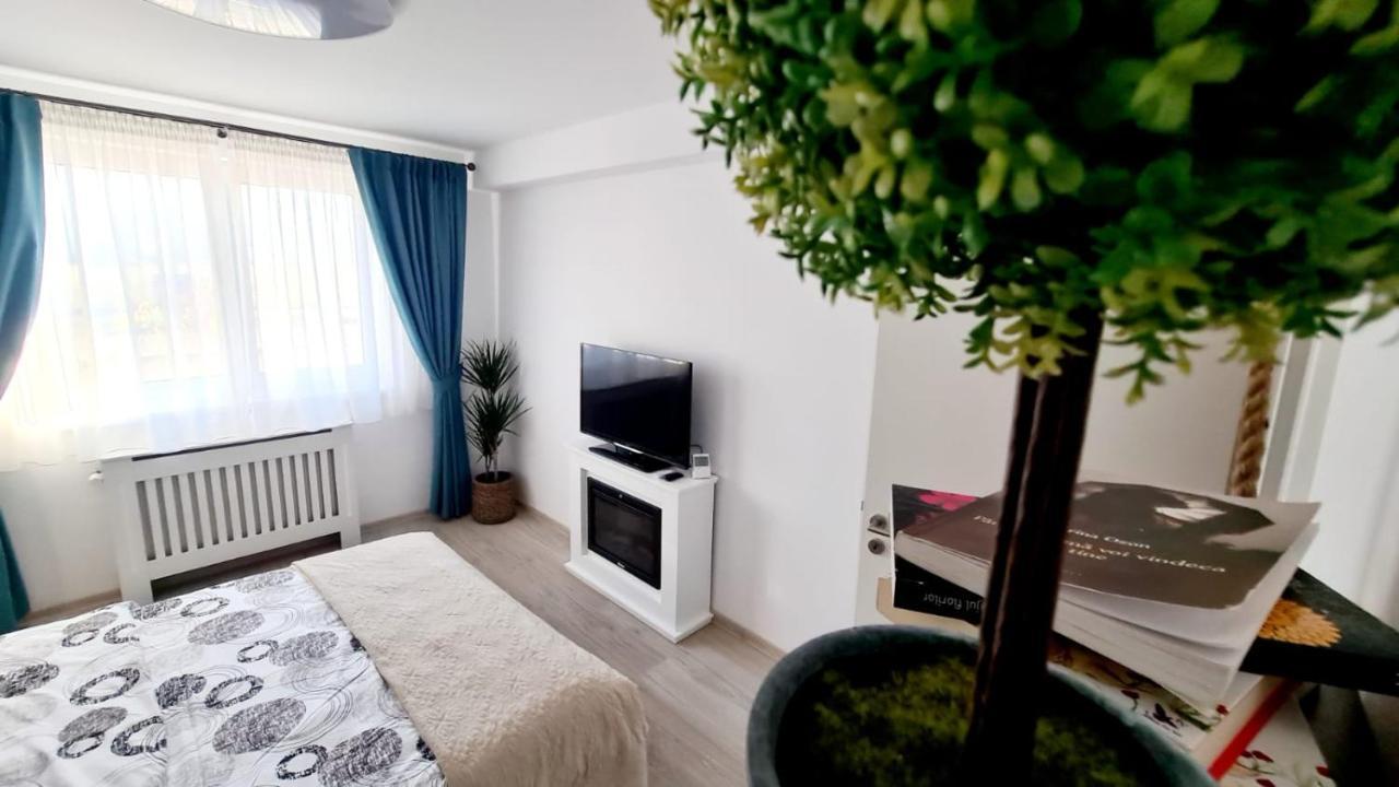 Apartament Cozy Studio Braszów Zewnętrze zdjęcie