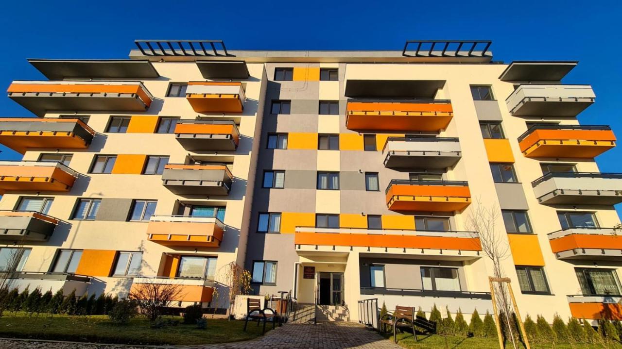 Apartament Cozy Studio Braszów Zewnętrze zdjęcie