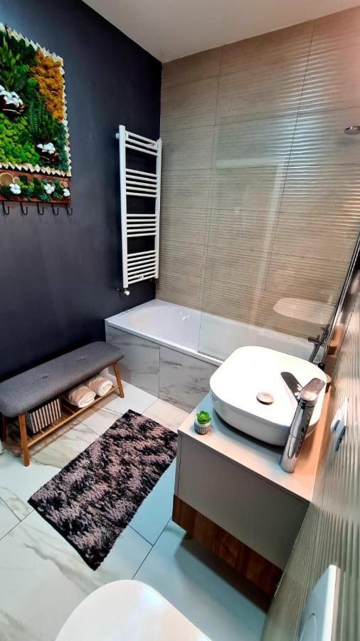 Apartament Cozy Studio Braszów Zewnętrze zdjęcie